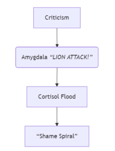 Amygdala neural pathway diagram - How cortisol creates shame cycles in women's brains 